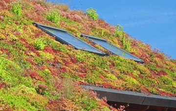 Harpham living roof systems