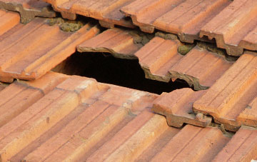 roof repair Harpham, East Riding Of Yorkshire